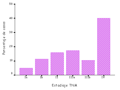 Todos Los Tipos De Graficas De Barras